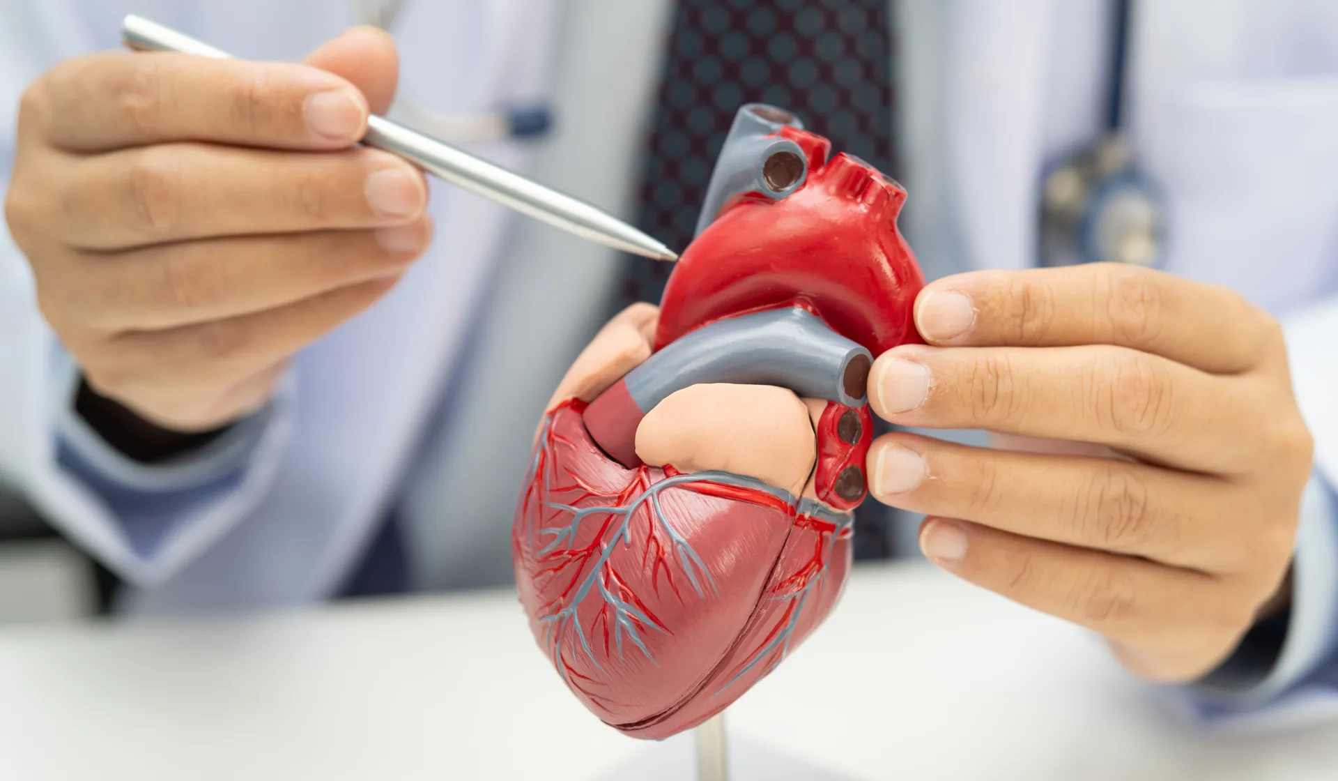 Cardiologist reviewing patient data on a digital dashboard, representing modern cardiology practice marketing by LeadGulls
